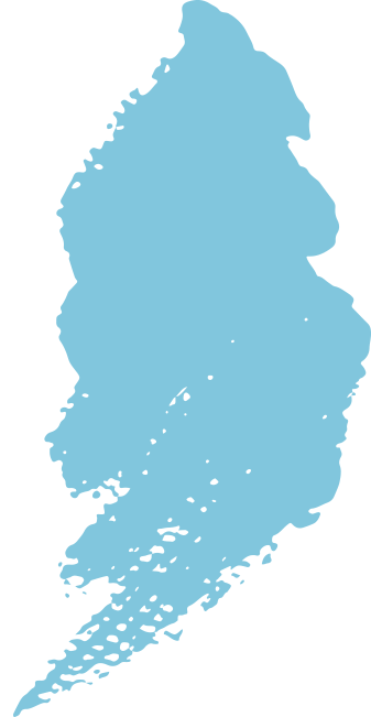 Vector